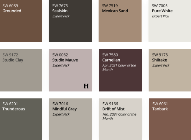 Sherwin Williams Color Mix 2025 - Chrysalis Pattett